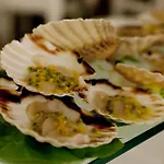 亚历山大博物馆宫酒店 酒店 佩萨罗