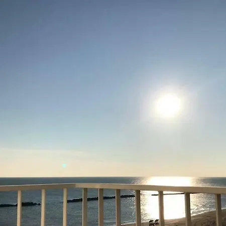 Alexander Museum Palace Hotell 4*